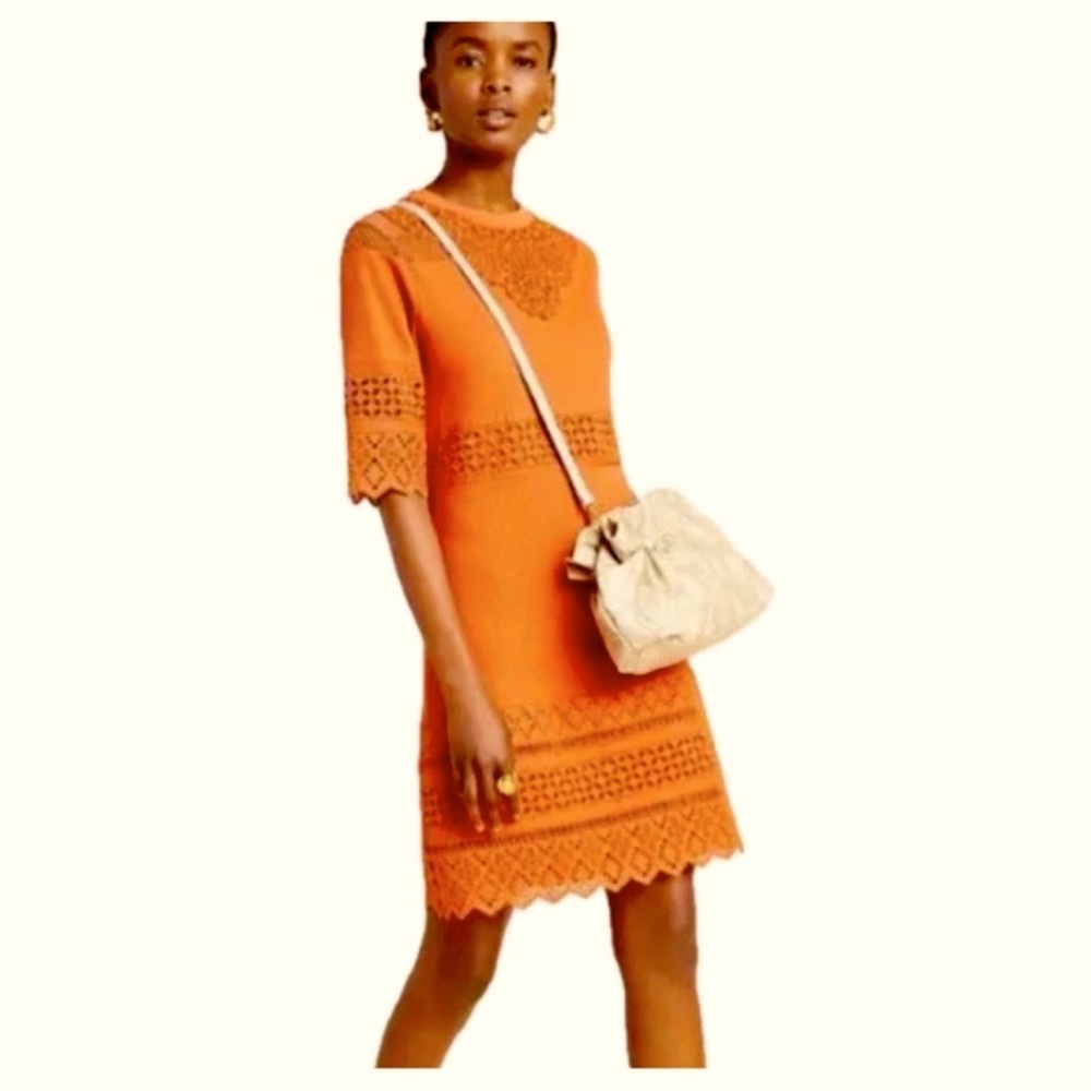 Anthropologie Aryessa Lace Poet Sleeve Dress NWT